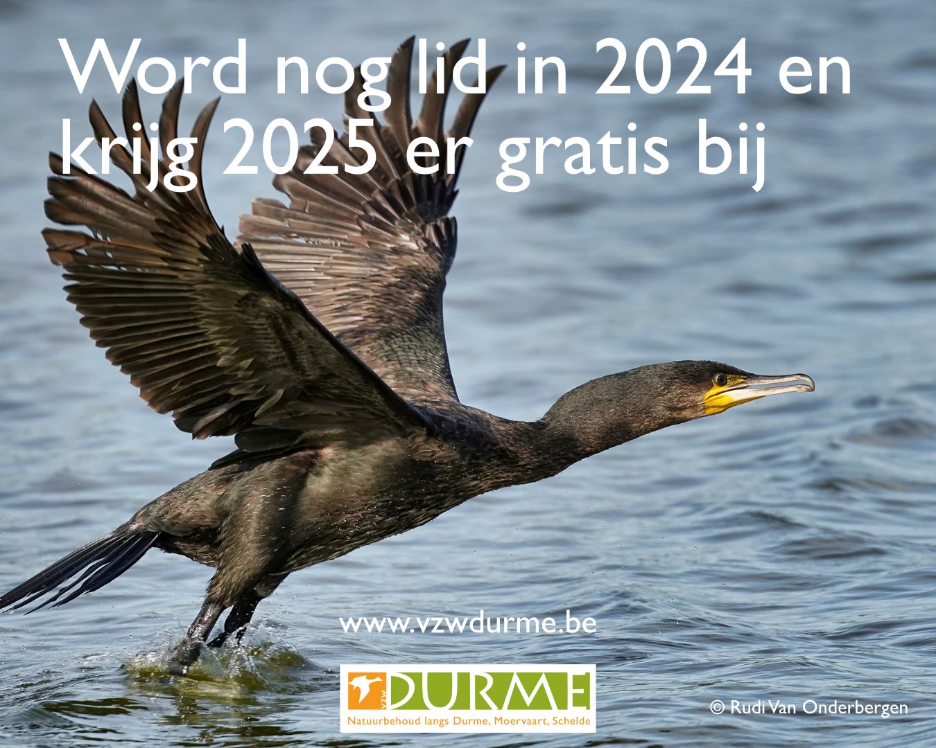 Najaarsactie gratis lid 2025 kleiner formaat website