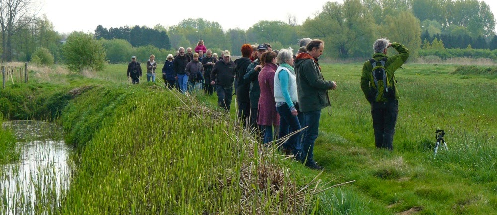 paardeweide frevanhoef