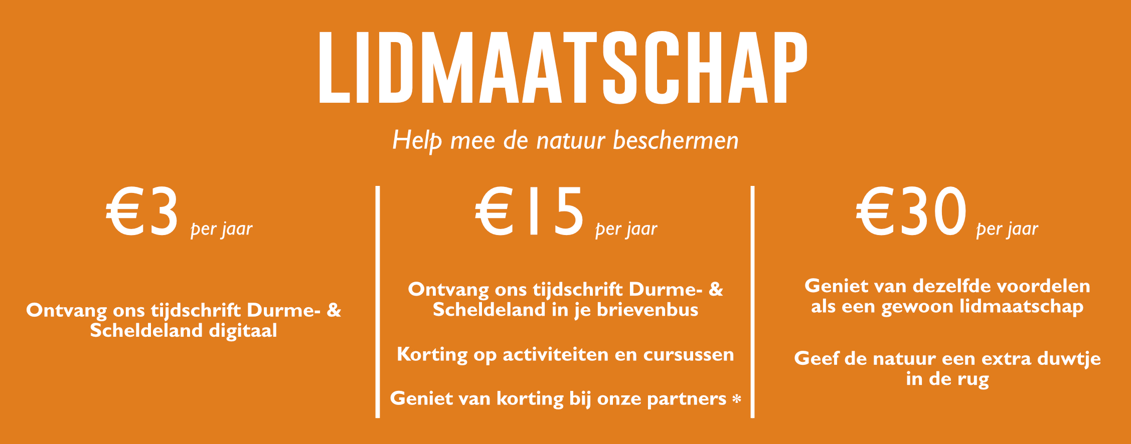 lidmaatschap Opmaak 111